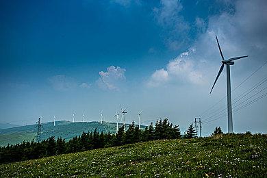 平台冒险《寻找爱丽丝》8月24日登陆PS4＆NS 获特别好评